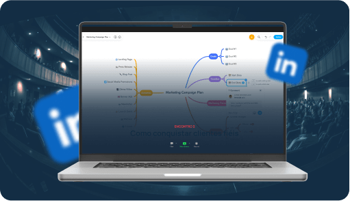 Estratégias & Networking